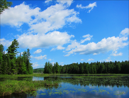 Adirondack Wetlands:  Heron Marsh from Shingle Mill Falls at the Paul Smiths VIC